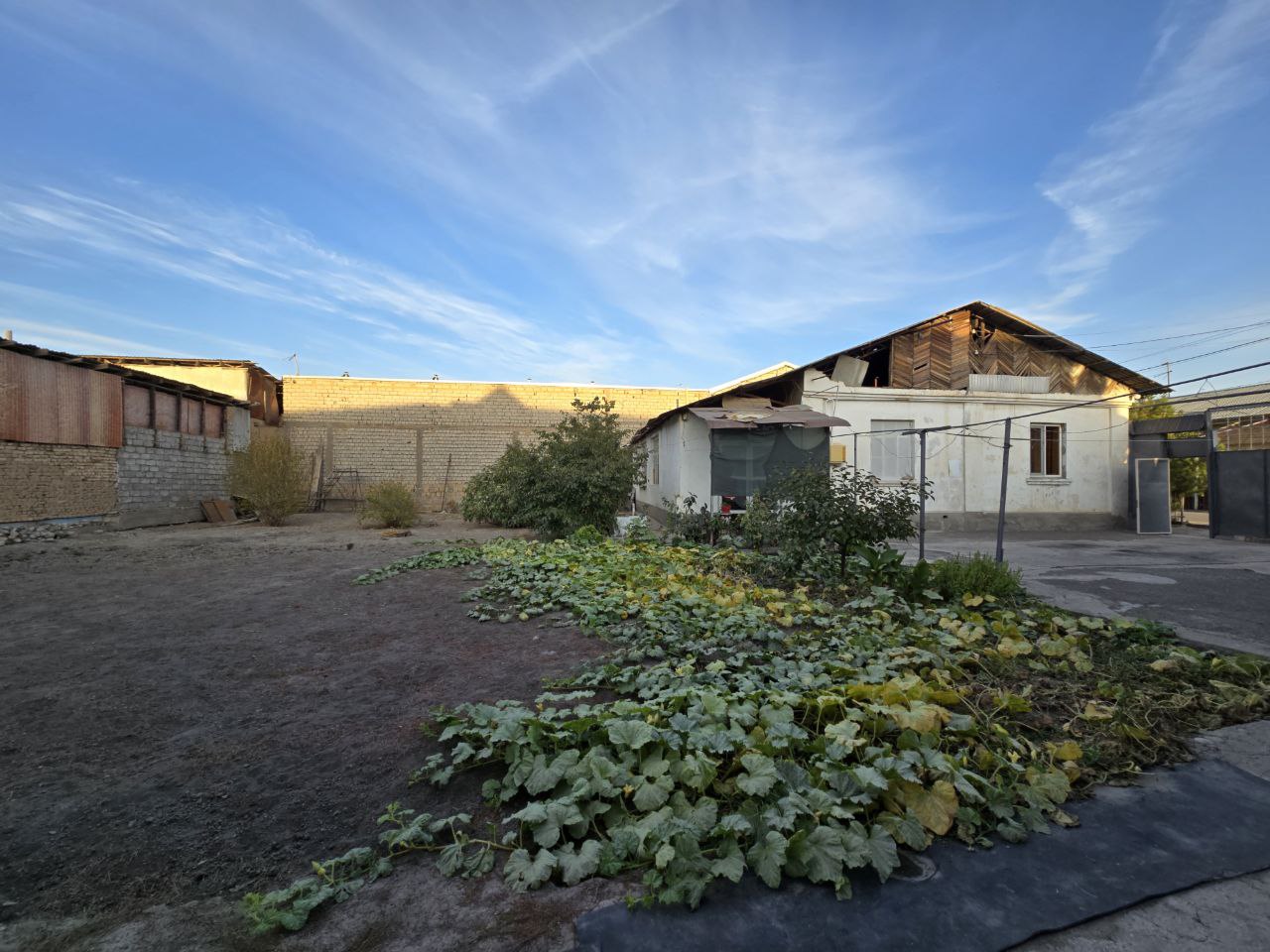 Construction Land Plot in Sergeli District